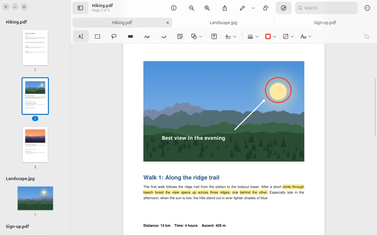 PDF with highlighter, circle and arrow