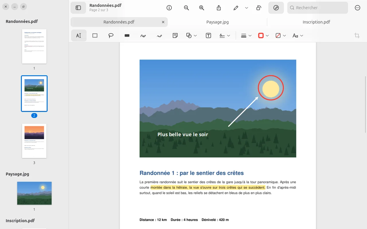 PDF avec surligneur, cercle et flèche